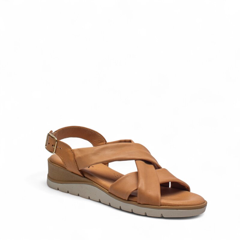 024516.3360_1.jpg