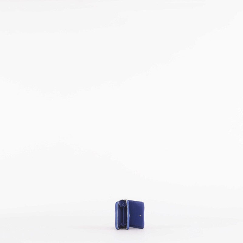 002668.BLU_2.jpg